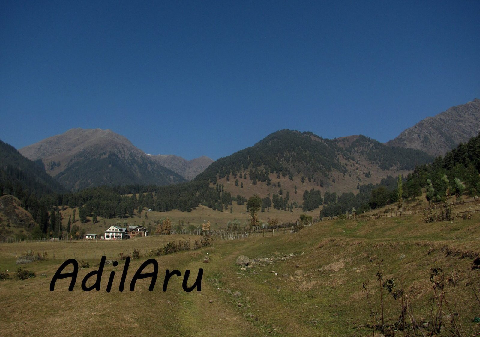 Kashmir Great Lakes Trek