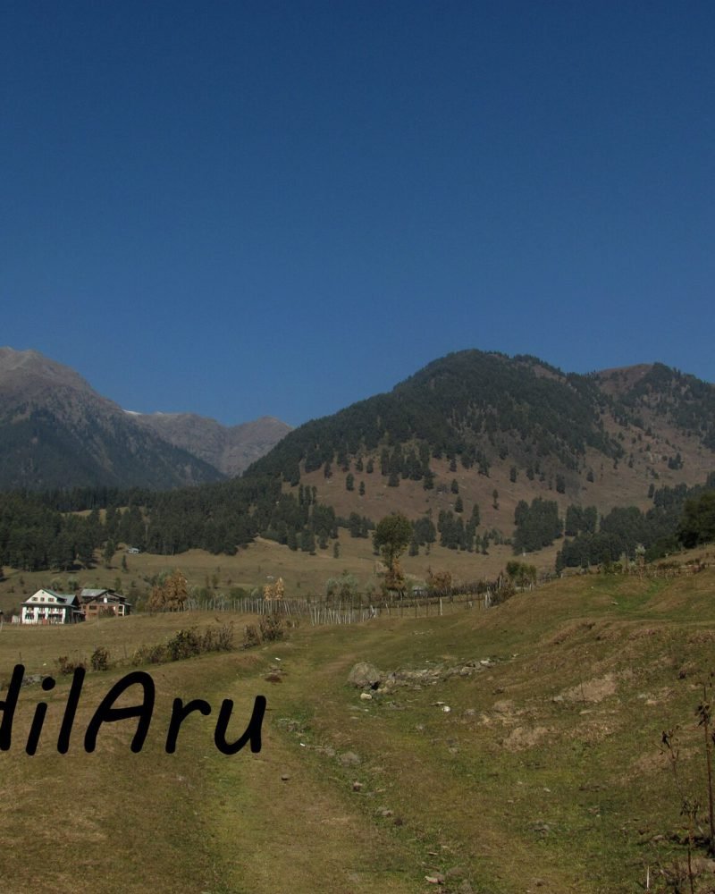 Kashmir Great Lakes Trek
