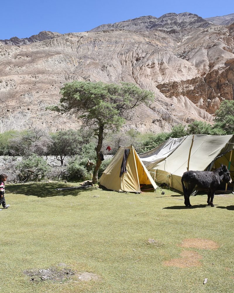 Markha Valley Trek
