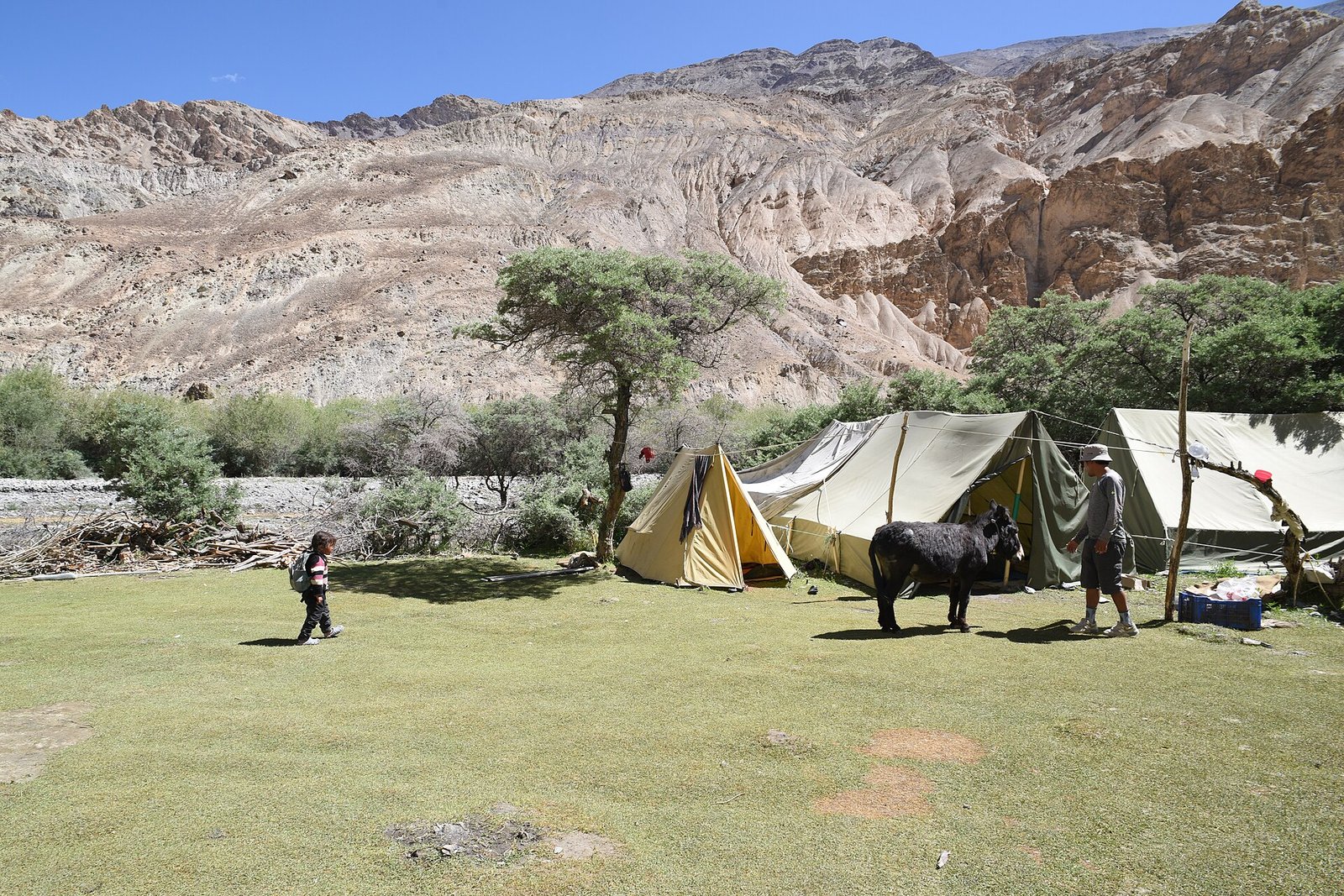 Markha Valley Trek