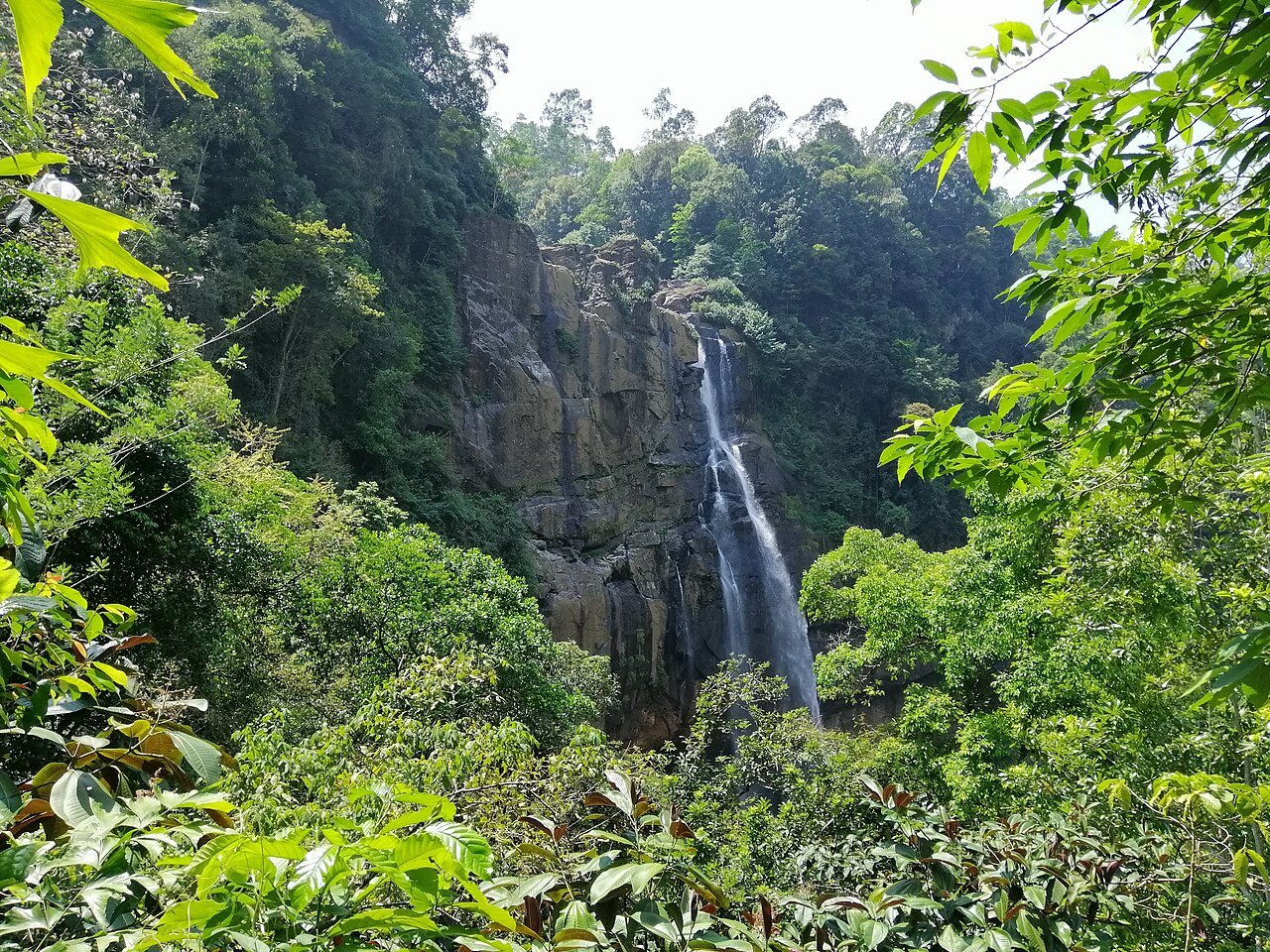 Jungle & Nature Treks
