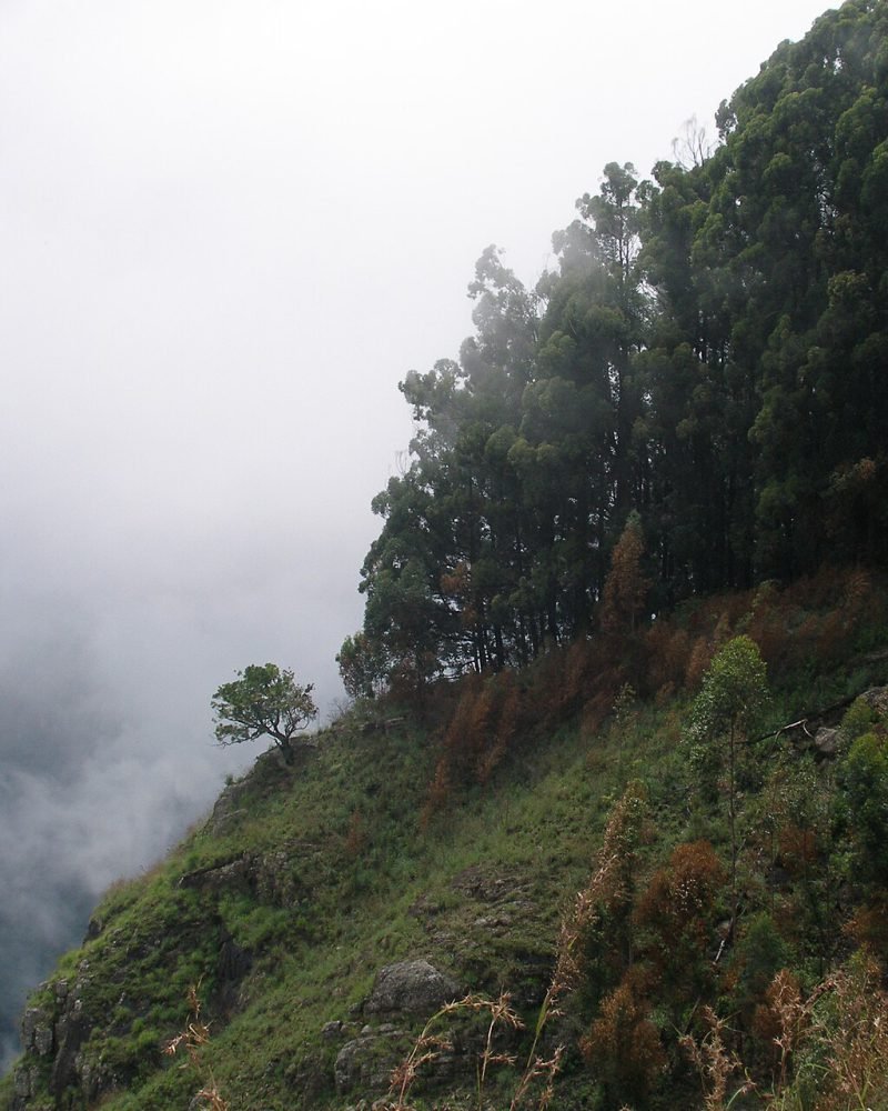 Mountains