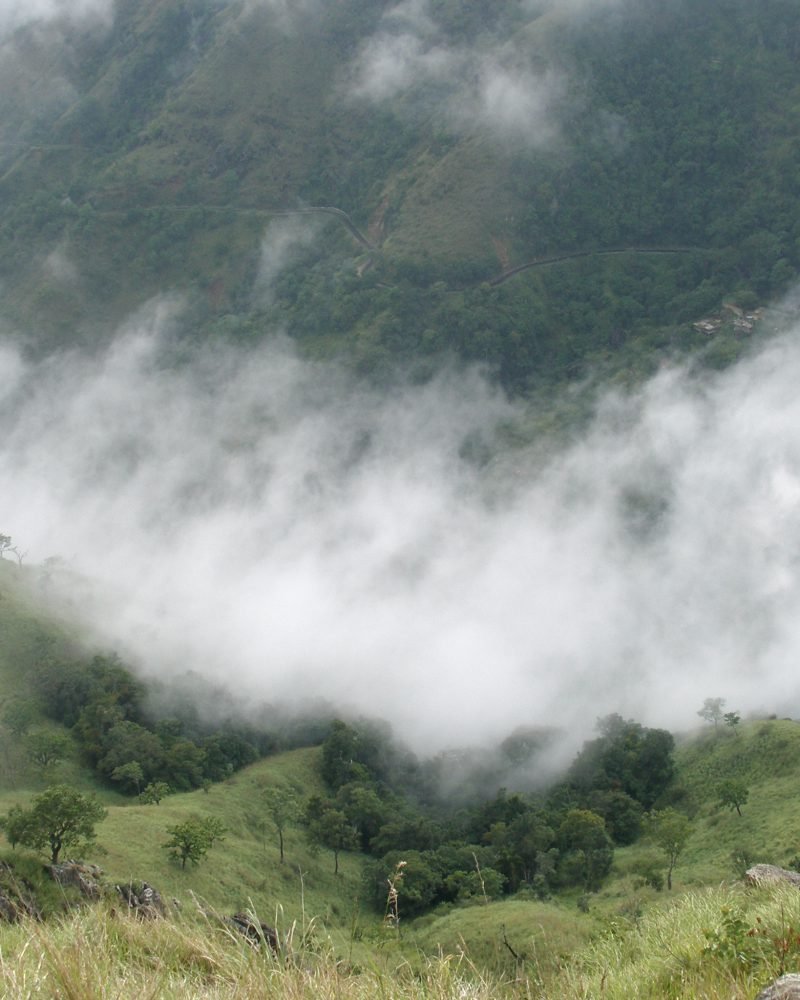 Sri Lanka Destination Guide